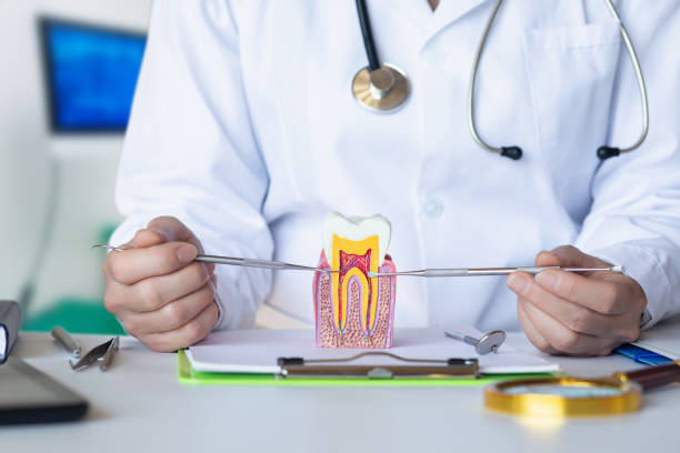 Best Emergency Gum Treatment in Osceola, IN